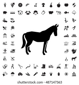 Horse icon illustration isolated vector sign symbol