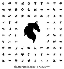 horse icon illustration isolated vector sign symbol