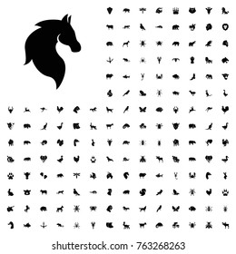 Horse icon illustration isolated vector sign symbol. animals icon set for web and mobile.