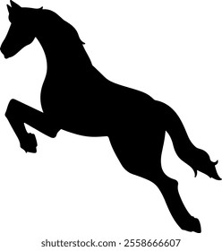 horse icon isolated on white background