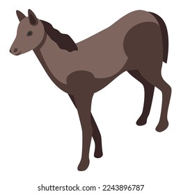 Horse icon isometric vector. Hipodrome animal. Racetrack derby
