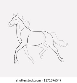 Horse icon line element. Vector illustration of horse icon line isolated on clean background for your web mobile app logo design.