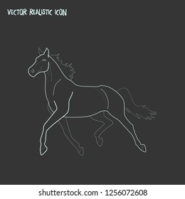 Horse icon line element. Vector illustration of horse icon line isolated on clean background for your web mobile app logo design.