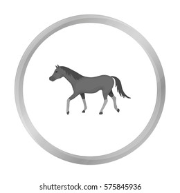 Horse icon in monochrome style isolated on white background. Hippodrome and horse symbol stock vector illustration.