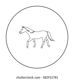 Horse icon in outline style isolated on white background. Hippodrome and horse symbol stock vector illustration.