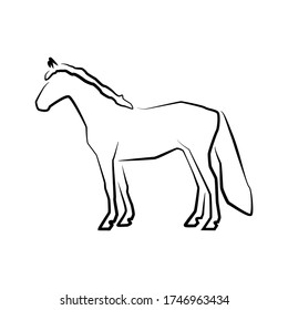 Horse icon. Outline vector illustration. Hand drawn style. Farm animals. Logo of Grazing horse full length.