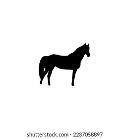 Horse icon. Simple style poster background symbol. Horse brand logo design element. Horse t-shirt printing. vector for sticker.