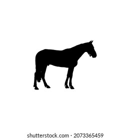 Horse icon. Simple style horse sport poster background symbol. Horse logo design element. T-shirt printing. Vector for sticker.