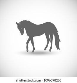 horse icon, vector