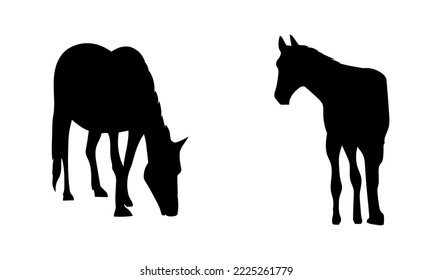 Horse icon vector illustration on a white background.