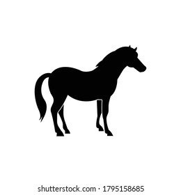 horse icon vector sign symbol