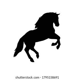 horse icon vector sign symbol