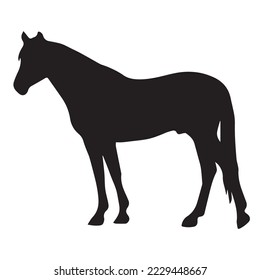 Horse Icon, Vector, Silhouette, Logo Template Vector icon illustration design