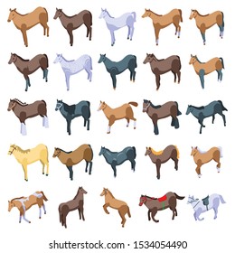 Horse icons set. Isometric set of horse vector icons for web design isolated on white background