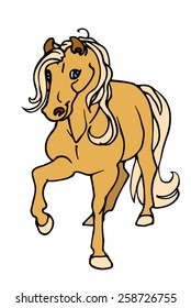 Horse illustration