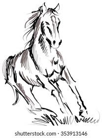 Horse illustration
