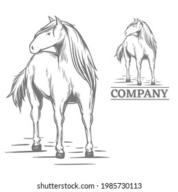 Horse illustration in hand drawn style, can be use for logo too