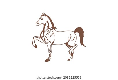Horse illustration isolated on white background.