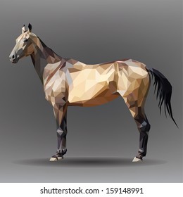 Horse isolated on a gray background