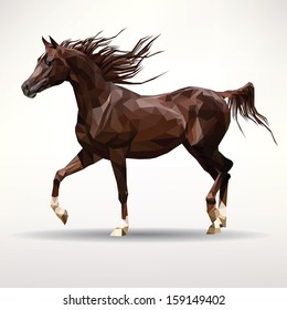 horse isolated on a white background