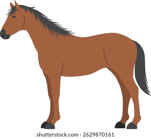 The horse isolated on white background