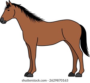 The horse isolated on white background