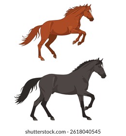 Horse isolated set hand drawn vector stock illustration