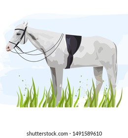 Horse isolated Vector. Animal icon template poster