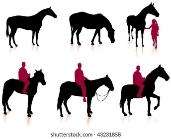 Pferd und Jockey Silhouette Set Original Vektorgrafik Tiere ideal für Sport-Konzept