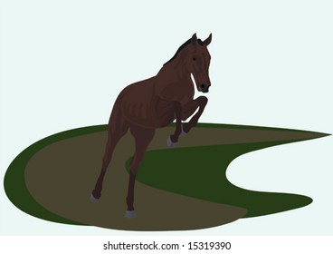 Horse in a jump