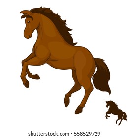 Horse jumping
