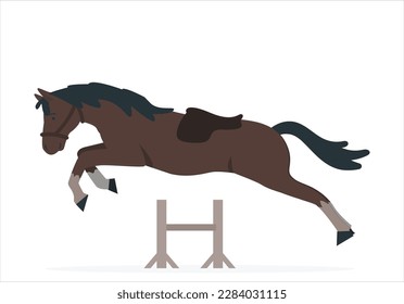 Horse Jumping, Equestrian Sports, Show Jumping themed photo. Young rider girl on horse jumping over obstacle on her course in competition