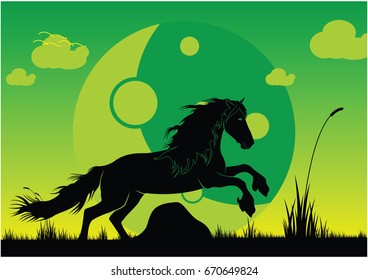 Horse jumping over rocks