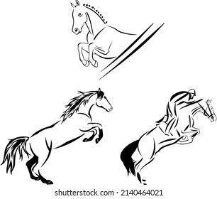 Horse jumping set, hand drawing illustrations 