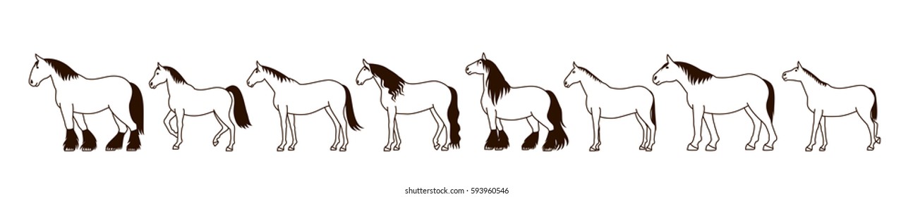 Horse line art banner 