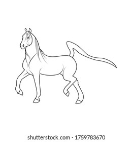 Horse line art. continuous line drawing. line art vector logo design. illustration. hand made icon sketch