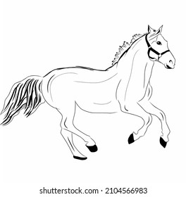 the horse line art of drawing vector with white and black background design