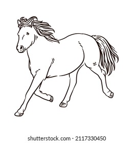 Horse line art vector illustration. Running horse line art