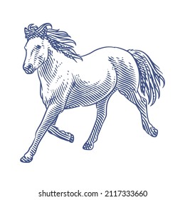 Horse line art vector illustration. Running horse line art