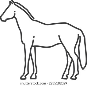 Horse line icon. Farm animal. Equestrain symbol