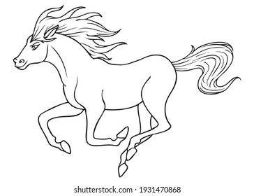 horse line vector illustration,
isolated on white background.animals top view
