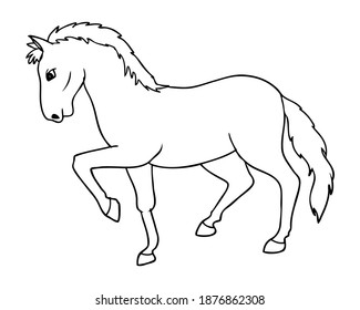 horse line vector illustration,isolated on white background,animals top view