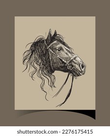 Horse, lines Art Drawing, Vector illustration.