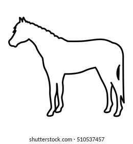Horse livestock animal design