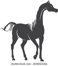 Horse logo animal vector design design concept logo
