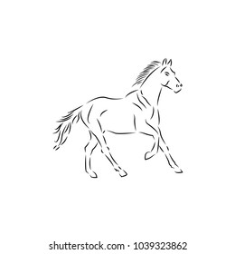 horse logo design template