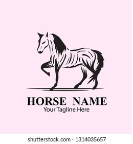 HORSE LOGO DESIGNS CONCEPT