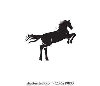 Horse Logo Template Vector
