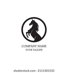 Modelo de plantilla de logotipo de caballo Diseño de ilustraciones de iconos de vectores