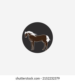 Modelo de plantilla de logotipo de caballo Diseño de ilustraciones de iconos de vectores